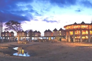 Nairobi eller Mombasa: 2-dages Salt Lick Safari Lodge-tur