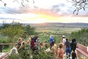 Nairobi eller Mombasa: 2-dages Salt Lick Safari Lodge-tur