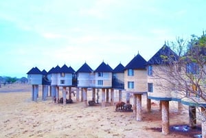 Nairobi eller Mombasa: 2-dages Salt Lick Safari Lodge-tur