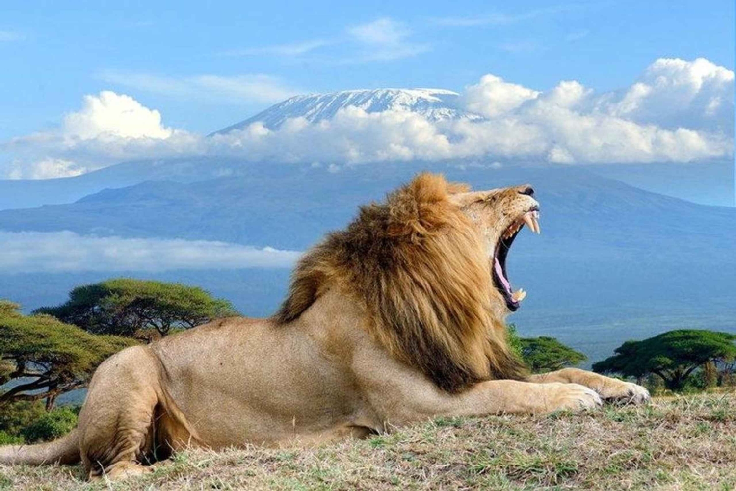 Nairobi: Safaritur med overnatning til Amboseli Nationalpark