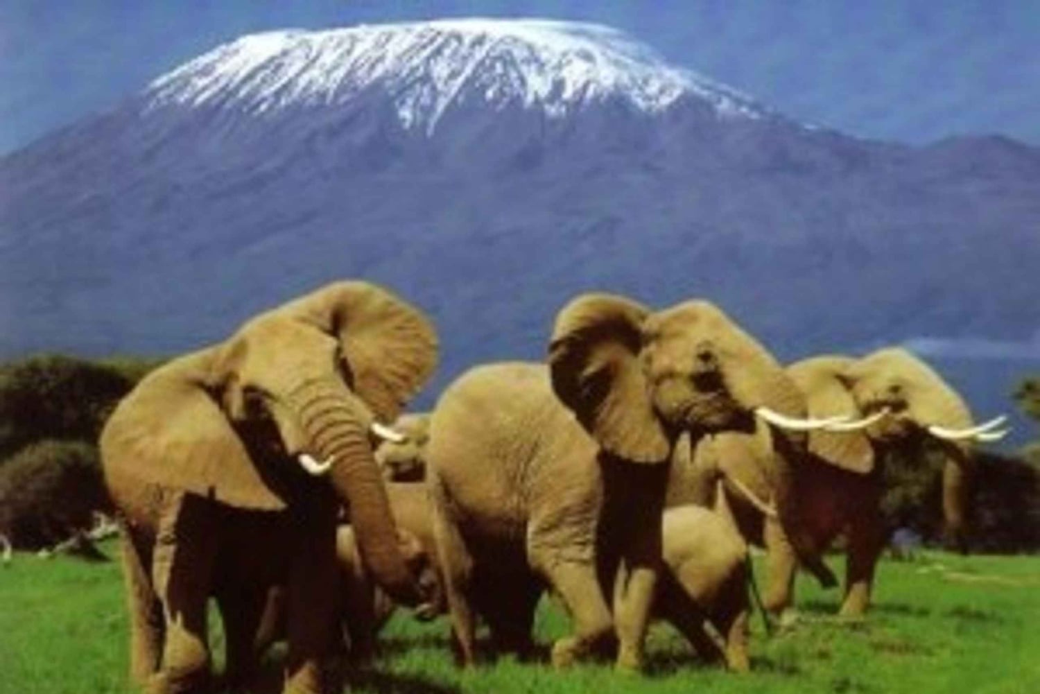 Nairobi: Safaritur med overnatning til Amboseli Nationalpark