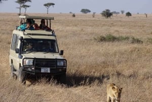 Nairobi: Nocna wycieczka safari do Parku Narodowego Amboseli