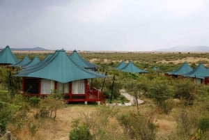 Nairobi: Safari-Trip mit Übernachtung im Amboseli-Nationalpark