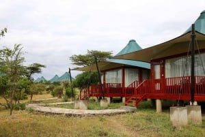 Nairobi : Safari de nuit dans le parc national d'Amboseli
