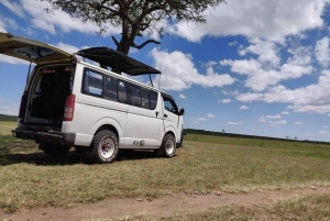 Nairóbi: Viagem noturna de safári ao Parque Nacional Amboseli