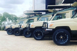 Nairobi: Safaritur med overnatning til Amboseli Nationalpark