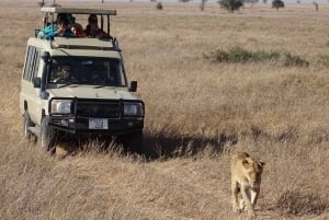 Nairobi: Safaritur med overnatning til Amboseli Nationalpark