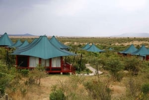 Nairobi: Safaritur med overnatning til Amboseli Nationalpark