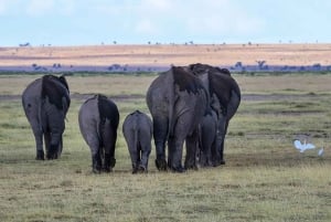 Nairobi: Safaritur med overnatning til Amboseli Nationalpark