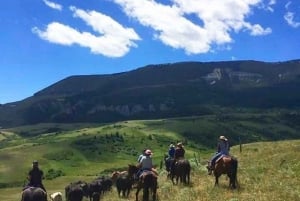 Nairobi: escursione ricreativa al Paradise Lost