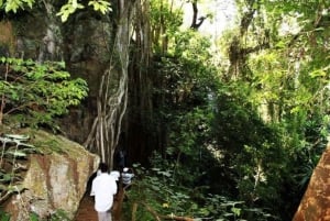 Nairobi: escursione ricreativa al Paradise Lost