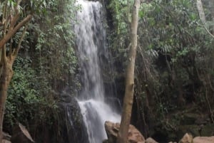 Nairobi: escursione ricreativa al Paradise Lost