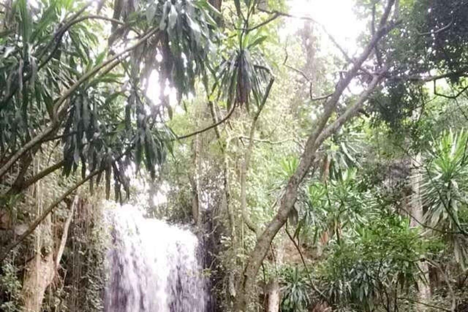 ナイロビ：パラダイスロスト滝と洞窟のガイド付きツアーをご案内します