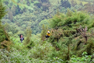 Nairobi: Paragliding und Zipline im Kereita Forest – Tagestour