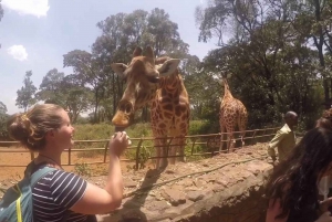 Nairobi Park,BabyElephants,Giraffes,Karen Blixen&Bomas Tour