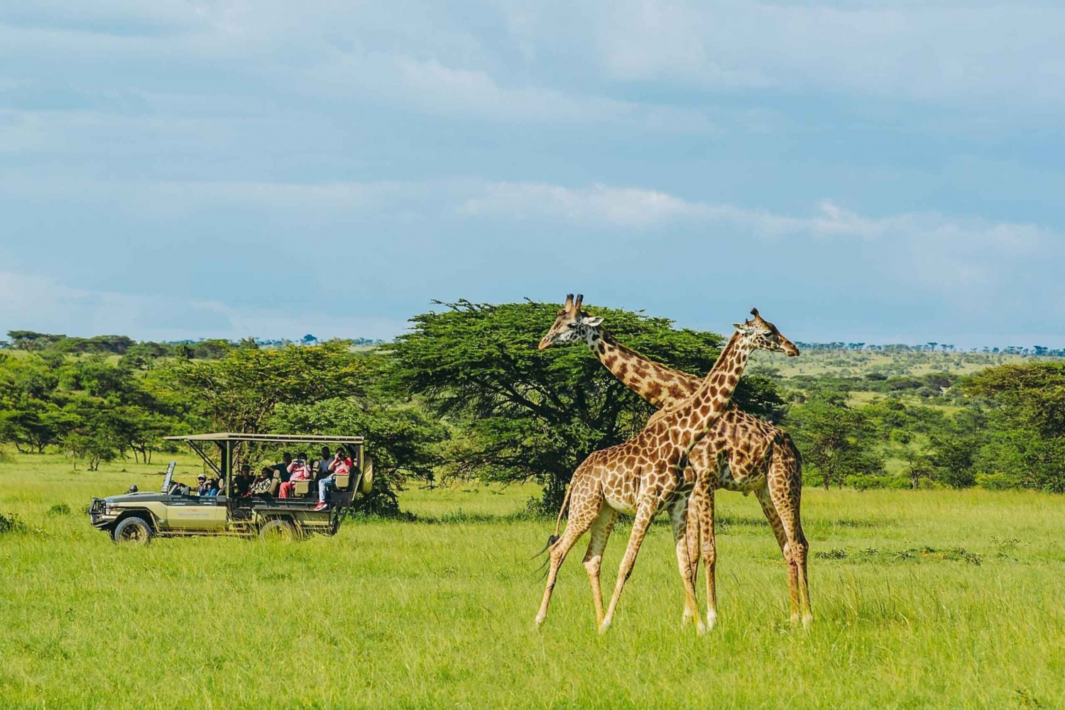 Nairobi Park, Elephant, Giraffe, Bomas & Safaripark Dinner