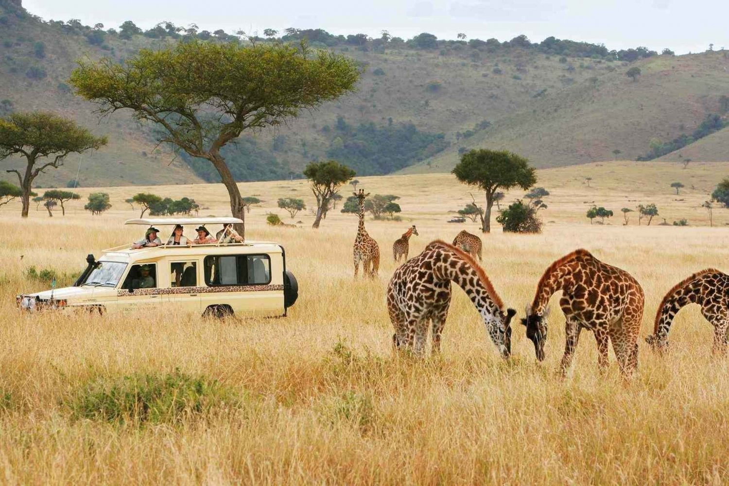 Parque de Nairobi, cena con elefantes, jirafas, Bomas y Safaripark