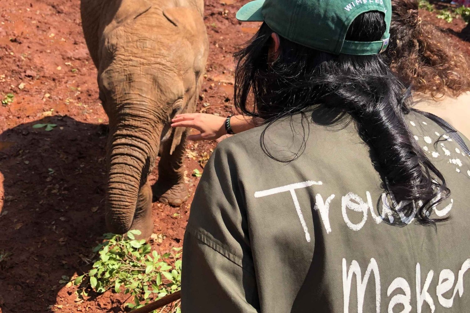 Parc de Nairobi, sanctuaire des éléphants et centre des girafes avec options