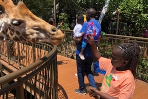 Parc de Nairobi, sanctuaire des éléphants et centre des girafes avec options