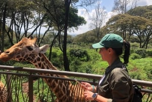 Parc de Nairobi, sanctuaire des éléphants et centre des girafes avec options