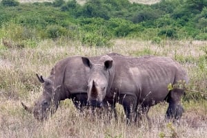 Parc de Nairobi, sanctuaire des éléphants et centre des girafes avec options
