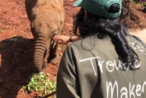 Parc de Nairobi, sanctuaire des éléphants et centre des girafes avec options