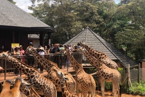 Parc de Nairobi, sanctuaire des éléphants et centre des girafes avec options