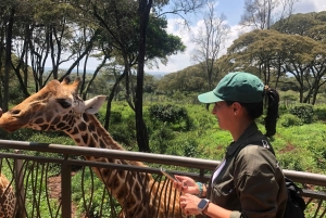 Parc de Nairobi, sanctuaire des éléphants et centre des girafes avec options