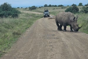 Park Narodowy Nairobi: przejażdżka z opcją zobaczenia słoni i żyraf