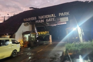 Park Narodowy Nairobi: przejażdżka z opcją zobaczenia słoni i żyraf