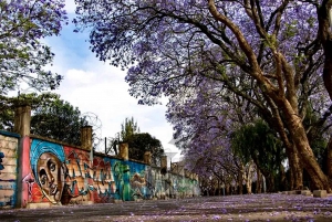 Nairobi: Private 4-Hour City walking Tour And Lunch.