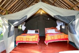 Nairobi: Privat 5-dagers tur til Maasai Mara, Nakuru og Naivasha