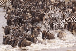 Nairobi: Private 5-Day Masai Mara, Nakuru, and Naivasha Tour