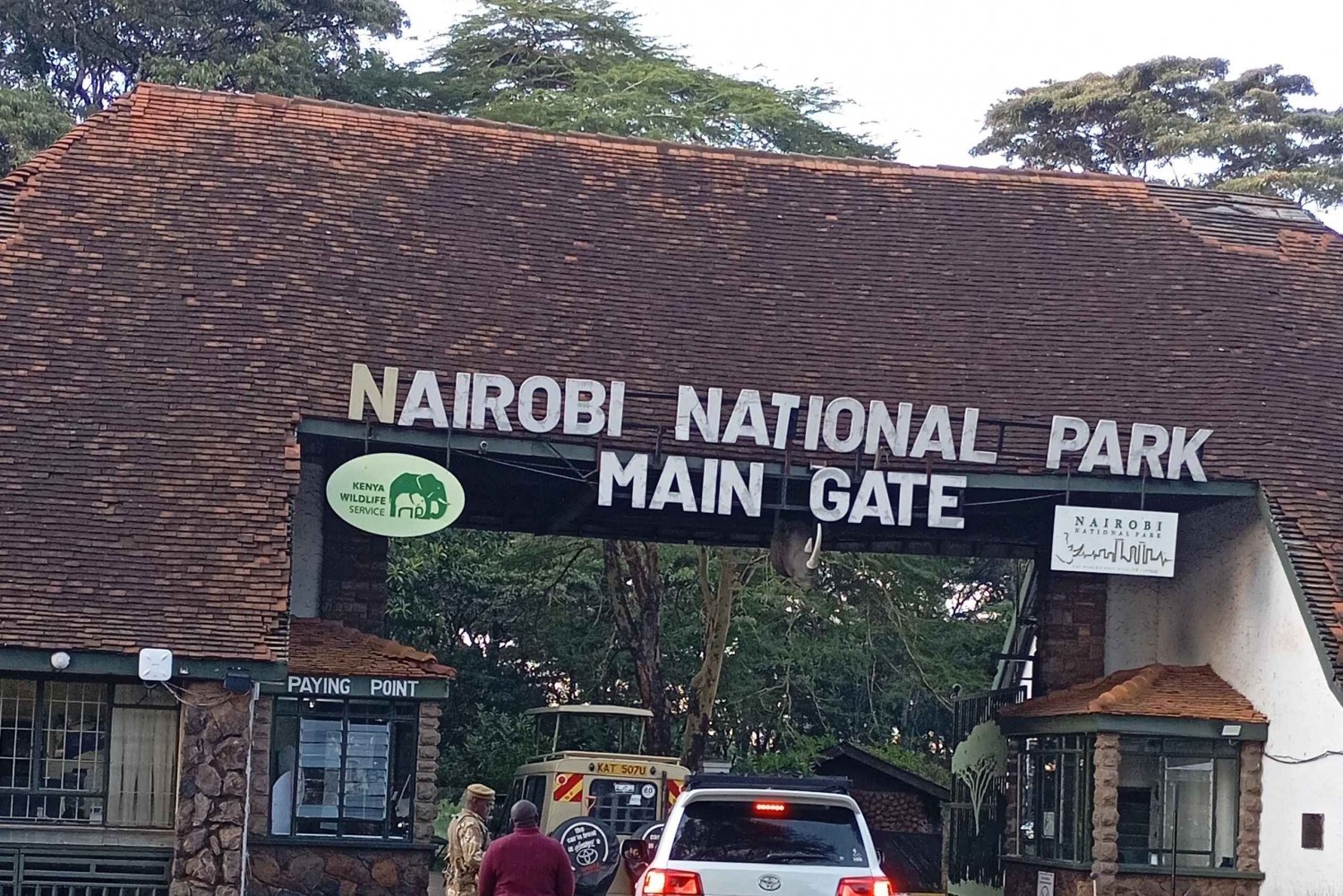 Nairobi: Private Game Drive in Nairobi National Park