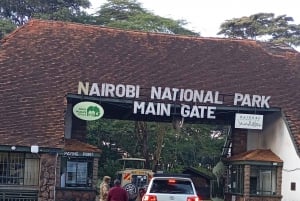 Nairobi: Privat safaritur i Nairobi Nationalpark