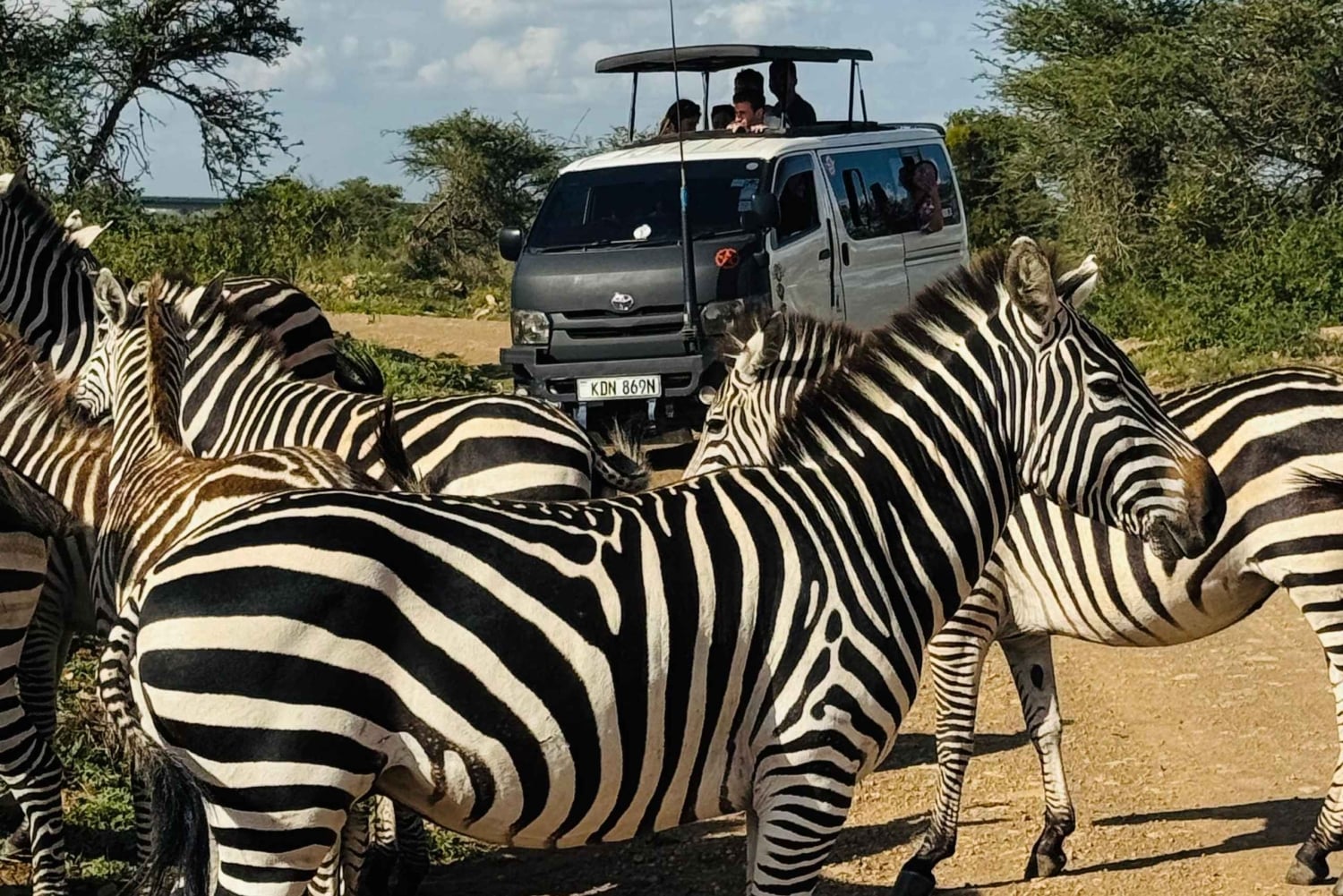 Nairobi: privat safari i Maasai Mara med lunsj og henting