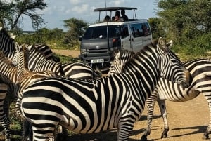 Nairobi: privat safari i Maasai Mara med lunsj og henting