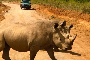 Nairobi: Privat nationalparkstur och rovdjursupplevelse