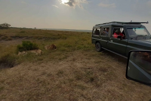 Nairobi: Privat omvisning i nasjonalparken og rovdyropplevelse