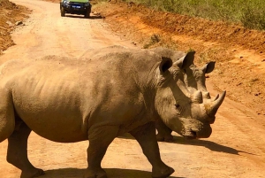 Nairobi: Private National Park Tour & Carnivore Experience