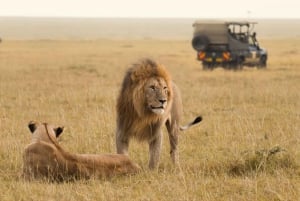 Nairobi: Safari privado de una noche por el Parque Nacional de Amboseli