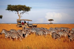 Nairobi: safari notturno privato nel parco nazionale di Amboseli