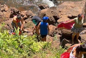 Nairobi: Greens päiväretki: Purple Tea Farm Gatura Greens