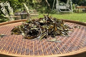 Nairobi: Greens päiväretki: Purple Tea Farm Gatura Greens