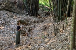 Nairobi: Greens päiväretki: Purple Tea Farm Gatura Greens
