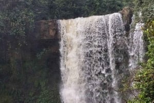 Nairobi: Greens päiväretki: Purple Tea Farm Gatura Greens