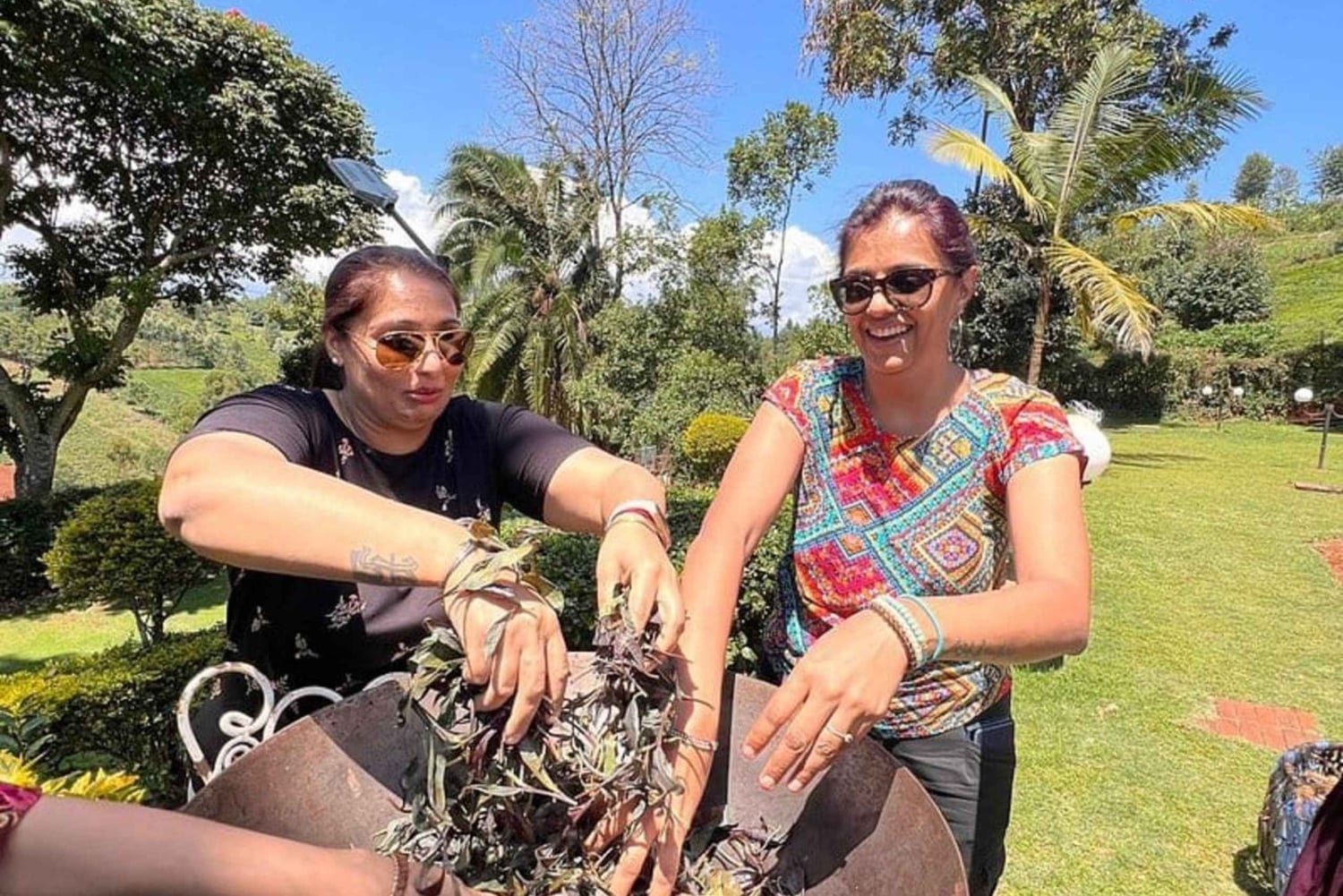 Nairobi: visita a una plantación de té púrpura y degustación