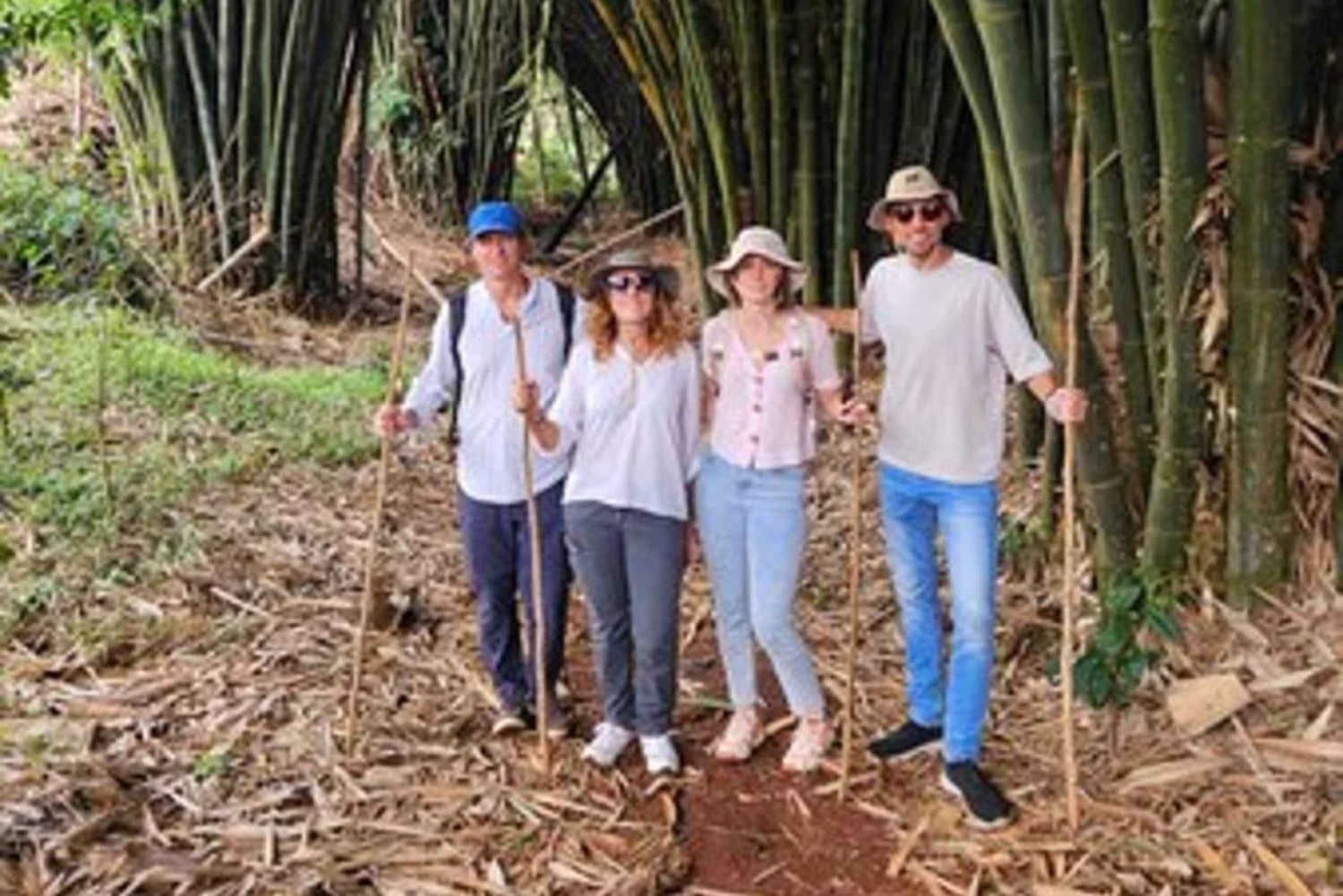 Nairobi: visita a una plantación de té púrpura y degustación