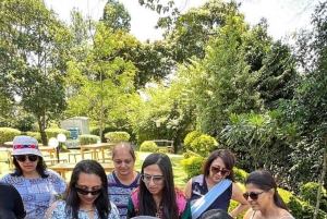 Nairobi: Purppurateetarhan kierros ja maistelupäiväretki