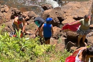 Nairobi: visita a una plantación de té púrpura y degustación